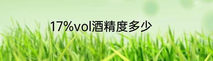 17%vol酒精度多少