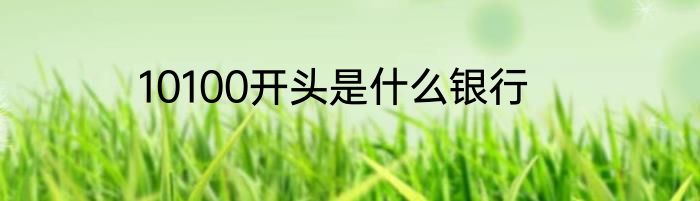 10100开头是什么银行