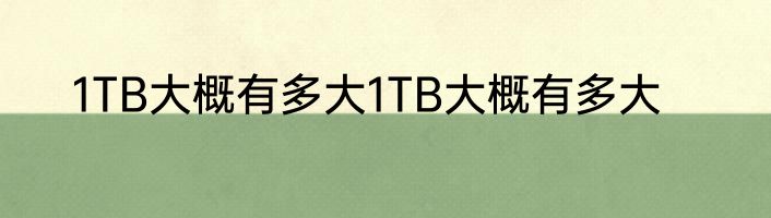 1TB大概有多大1TB大概有多大