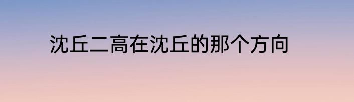 沈丘二高在沈丘的那个方向