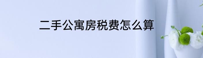 二手公寓房税费怎么算