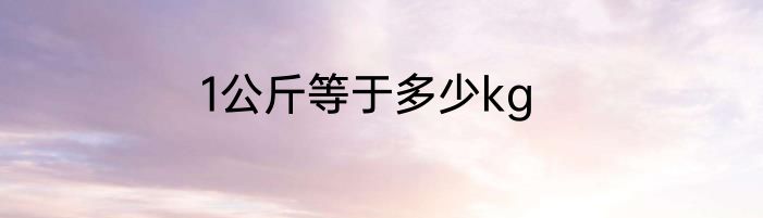 1公斤等于多少kg
