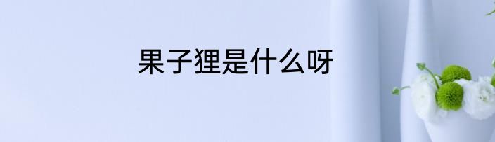 果子狸是什么呀