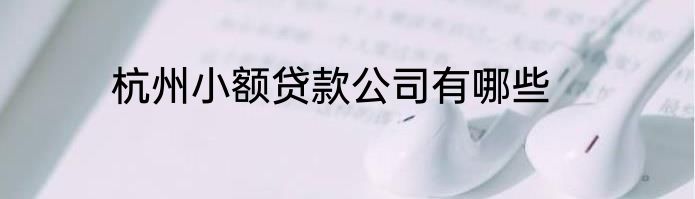 杭州小额贷款公司有哪些