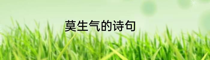 莫生气的诗句