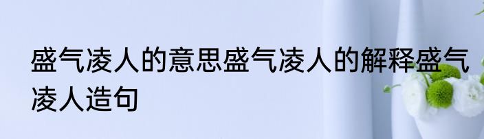 盛气凌人的意思盛气凌人的解释盛气凌人造句