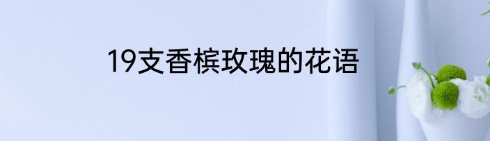 19支香槟玫瑰的花语