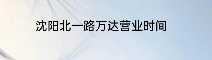 沈阳北一路万达营业时间