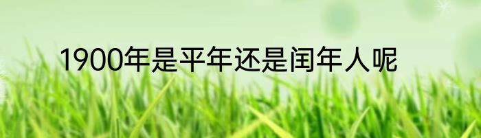 1900年是平年还是闰年人呢