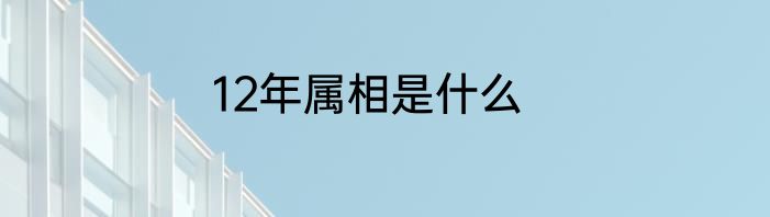 12年属相是什么