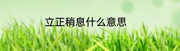 立正稍息什么意思