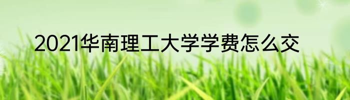 2021华南理工大学学费怎么交