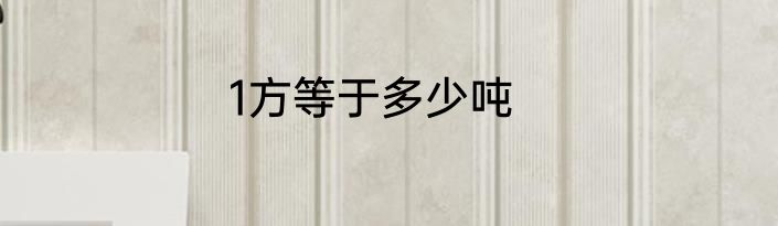 1方等于多少吨