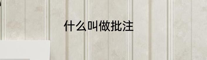 什么叫做批注
