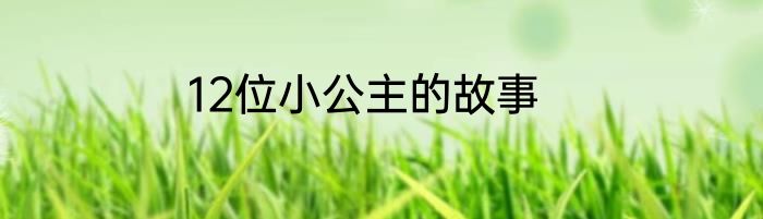 12位小公主的故事