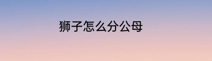 狮子怎么分公母