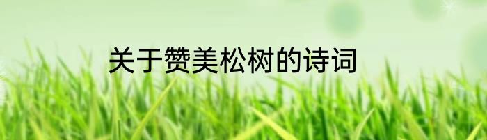 关于赞美松树的诗词