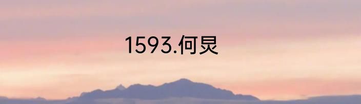 1593.何炅
