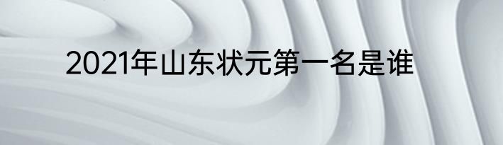 2021年山东状元第一名是谁