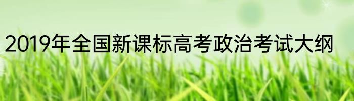 2019年全国新课标高考政治考试大纲