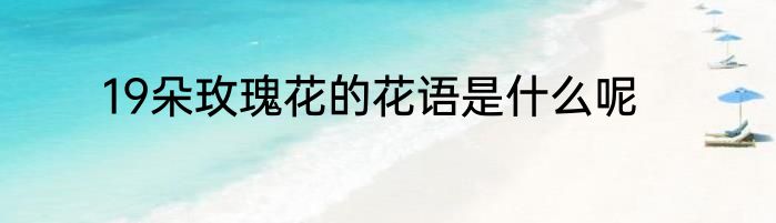19朵玫瑰花的花语是什么呢