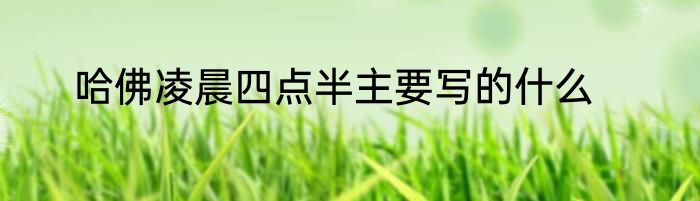 哈佛凌晨四点半主要写的什么