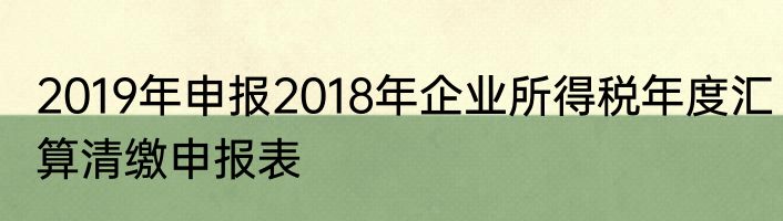 2019年申报2018年企业所得税年度汇算清缴申报表