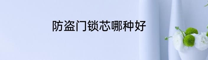 防盗门锁芯哪种好