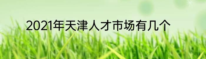 2021年天津人才市场有几个