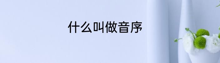 什么叫做音序