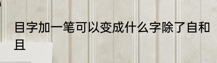 目字加一笔可以变成什么字除了自和且