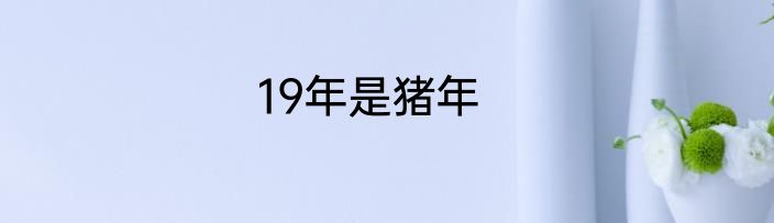 19年是猪年
