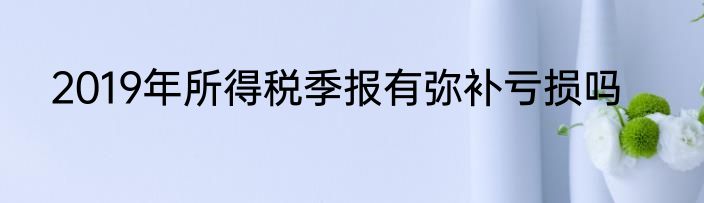 2019年所得税季报有弥补亏损吗