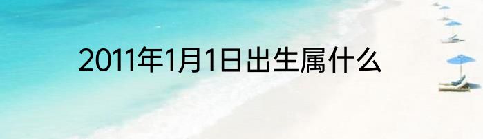 2011年1月1日出生属什么