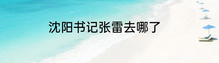 沈阳书记张雷去哪了