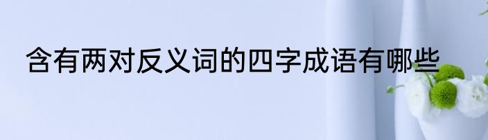 含有两对反义词的四字成语有哪些
