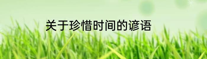 关于珍惜时间的谚语
