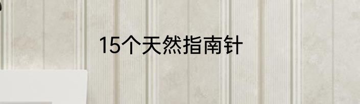15个天然指南针