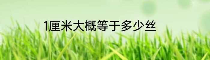 1厘米大概等于多少丝