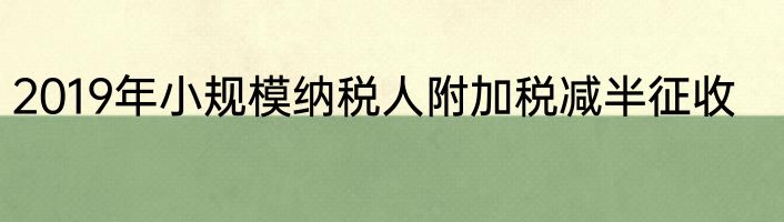 2019年小规模纳税人附加税减半征收