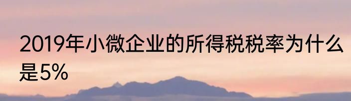 2019年小微企业的所得税税率为什么是5%