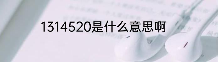 1314520是什么意思啊