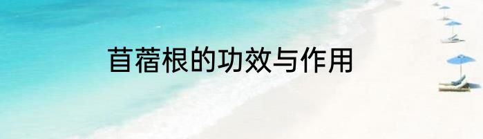 苜蓿根的功效与作用