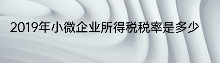 2019年小微企业所得税税率是多少