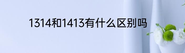 1314和1413有什么区别吗