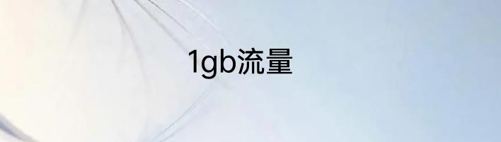 1gb流量