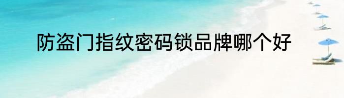 防盗门指纹密码锁品牌哪个好
