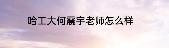 哈工大何震宇老师怎么样