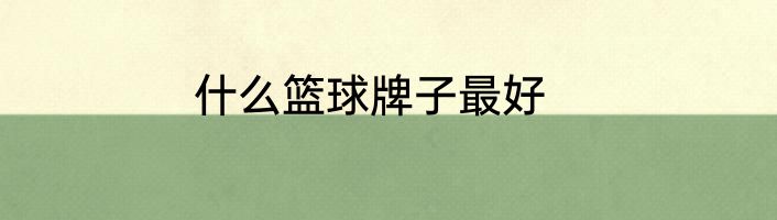 什么篮球牌子最好