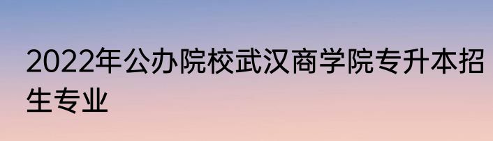 2022年公办院校武汉商学院专升本招生专业